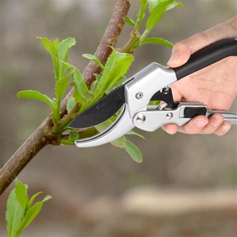 Fruit tree pruning shears grafting cutting tool